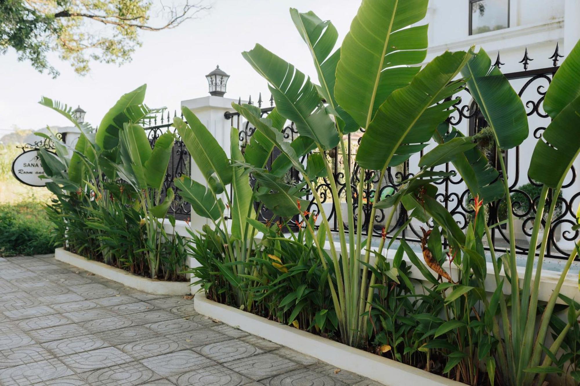 Tam Coc Sana Villa & Homestays Ninh Binh Buitenkant foto